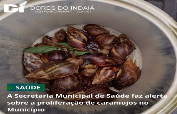 Secretaria Municipal de Saúde orienta sobre a proliferação de caramujos